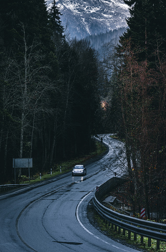 Road through the forest in autumn rainy dark day