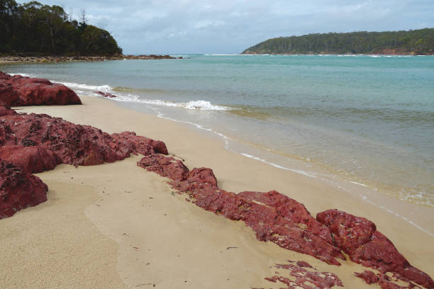 istock Pambula, NSW, Australia 1402012491