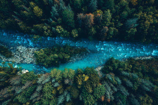 istock Drone aerial top view of mountain river and forest 1402017400