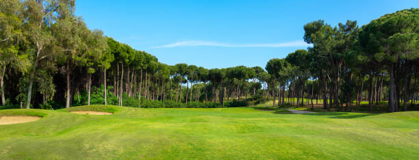 istock Golf course panorama with beautiful sky. Landscape view of golf course in Turkey Belek 1402024147
