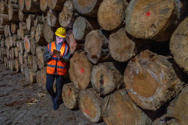 istock An Asian female engineer relies on wood at the dock to use a tablet computer 1402024155