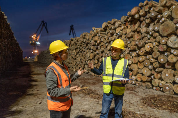 deux travailleurs portuaires de nuit discutent de travail - forest industry photos et images de collection