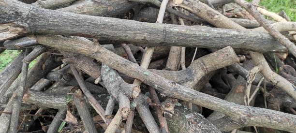 istock pile of wood 1402027776