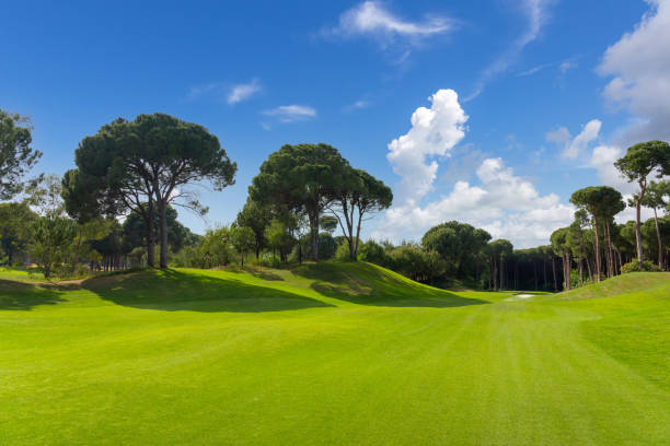 golfplatz-panorama mit wunderschönem himmel. landschaftsansicht des golfplatzes in der türkei belek - golf landscape golf course tree stock-fotos und bilder