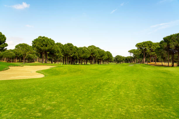 istock Golf course panorama with beautiful sky. Landscape view of golf course in Turkey Belek 1402030811
