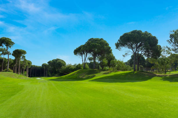 istock Scenic panoramic view of golf fairway at the golf course 1402032429