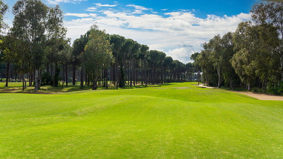 Panoramic view of golf course with pines on sunny day. Golf field with fairway, lake and pine-trees