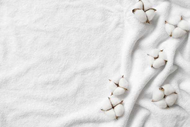 Cotton flowers on a white terry towel with copy space. Cotton flowers on a white terry towel with copy space. cotton cotton ball fiber white stock pictures, royalty-free photos & images