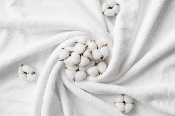 istock Cotton flowers on a white terry towel with copy space. 1402036433