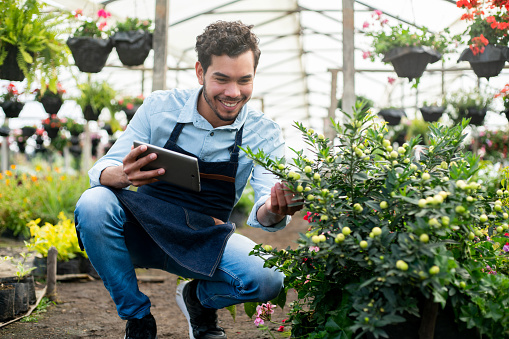 Happy Latin American man working at a garden center looking after the plants and using a tablet