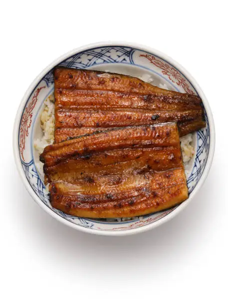Unadon ( charcoal grilled style Unagi eel on rice ), Japanese cuisine