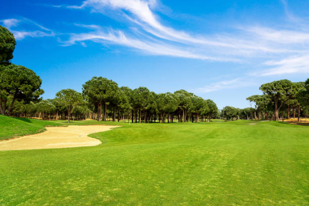 istock Scenic panoramic view of golf fairway at the golf course 1402037409