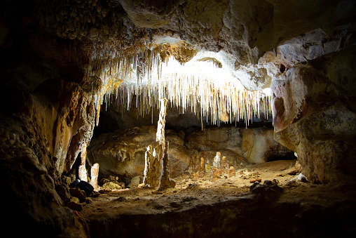 Alexandra Cave in Naracoorte - Australia