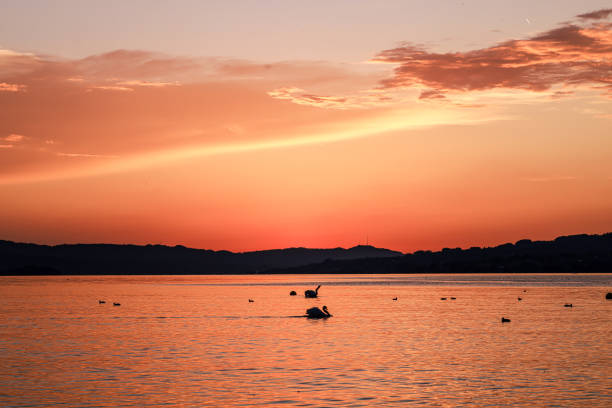 Afterglow on Lake Zurich with a view of the Uetliberg