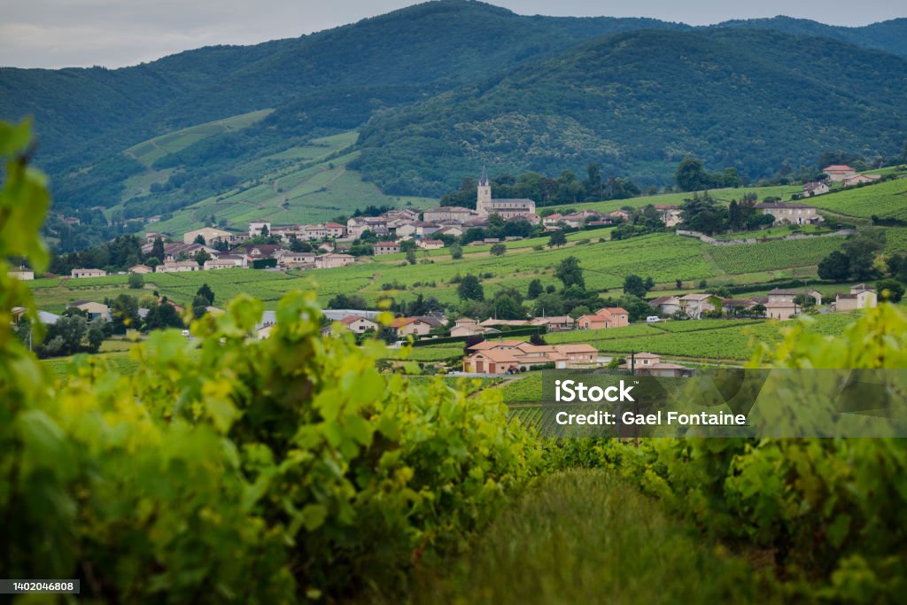 Village of Quincie in Beaujolais in France Agricultural Field Stock Photo Village of Quincie in Beaujolais in France Agricultural Field Stock Photo