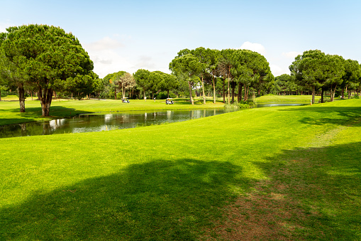 Landscape view of beautiful golf course surrounded with pines in Turkey