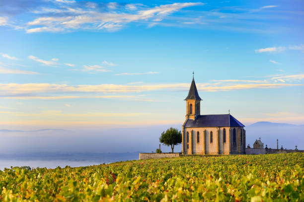 paysage du beaujolais à saint laurent d’oingt en france au lever du soleil - beaujolais nouveau photos et images de collection