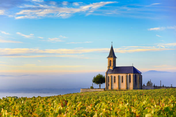 paisagem de beaujolais em saint laurent d'oingt na frança ao nascer do sol - beaujolais - fotografias e filmes do acervo