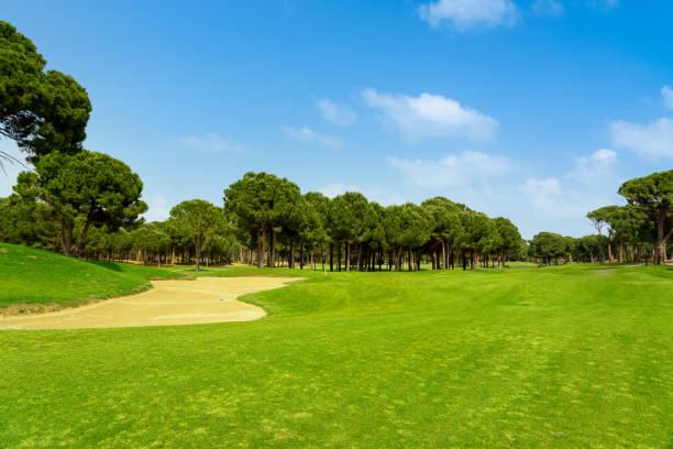 istock Landscape view of beautiful golf course surrounded with pines in Turkey Belek 1402048451