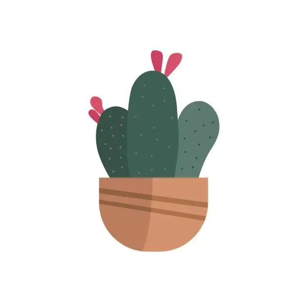 Vector illustration of Hand drawn cactus and pink flower in the half circle potted flat vector. Plants illustration isolated on white background.