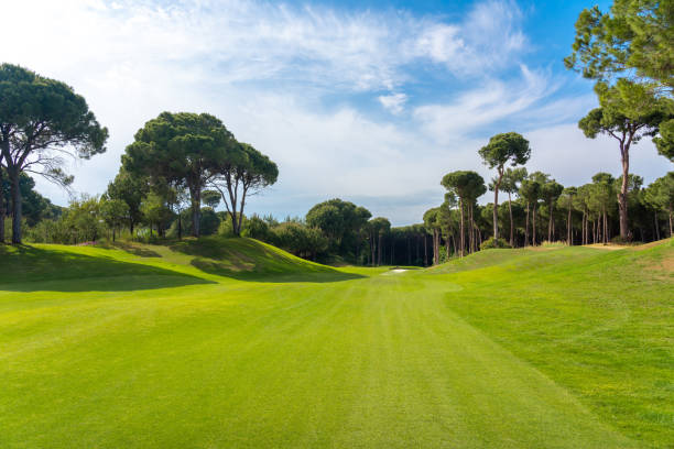 istock Landscape view of beautiful golf course surrounded with pines in Turkey Belek 1402050730