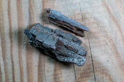 chinese medicine common jujube bark (zaoshupi)
