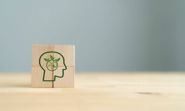 istock Think green, save the planet and energy concept. Ecological idea. Protect earth planet and development ecological energy.   Wooden cubes with trees and planet inside human head icon on grey background 1402054046