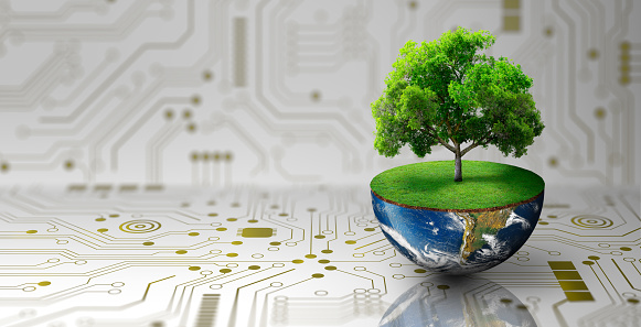 Tree growing on half of earth with green grass and butterfly. Digital and Technology Convergence. Green Computing, Green Technology, Green IT, csr, and IT ethics Concept. Image furnished by NASA. (\