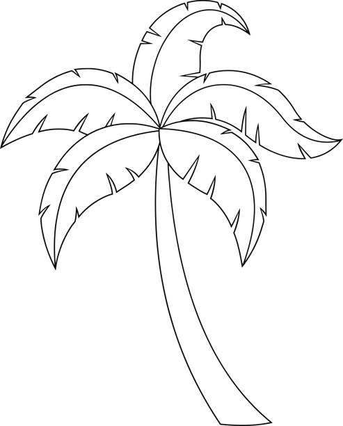 ilustrações, clipart, desenhos animados e ícones de desenho animado palmeira tropical com coroa de folhas - 13601