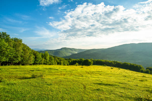 los prados se cubren de hierba y árboles en el fondo de la cordillera por la mañana. paisaje natural. - mountain pastures fotografías e imágenes de stock