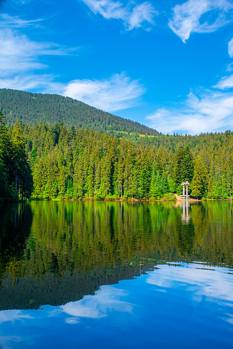 lake near coniferous forest and mountains on a nice summer day. Lake Synevir.
