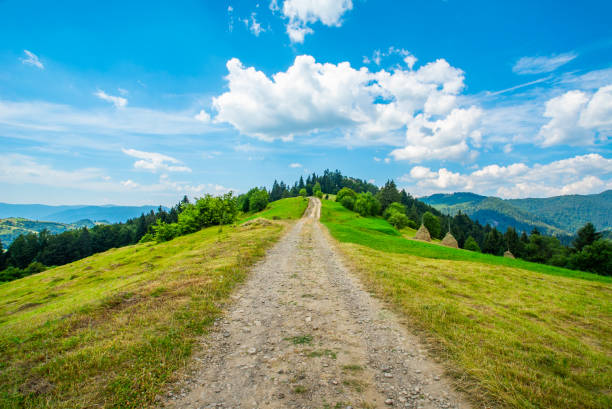 route qui longe une chaîne de montagnes dans les bois par un ciel bleu clair avec des nuages. campagne. - grass area hill sky mountain range photos et images de collection