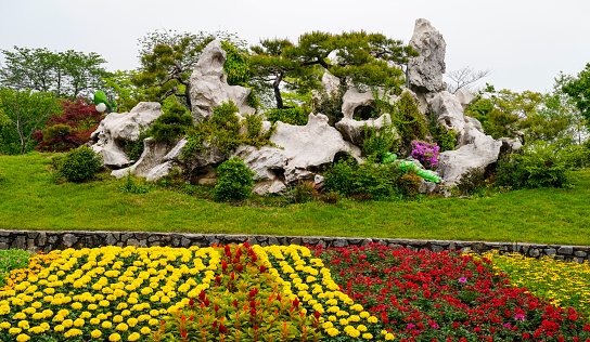 A beautiful flower field at the Spring Flower Festival.