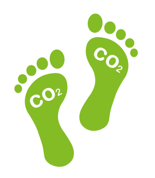 istock CO2 carbon footprint  icon. Related to sustainability, carbon emission and environmental impact. 1402058460