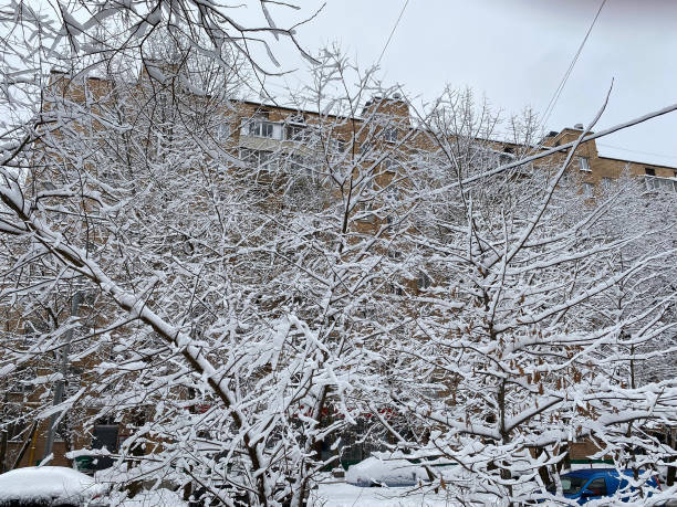 istock winter in city yard at cloudy day after snowfall 1402061818