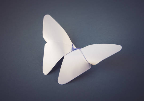 istock White paper butterfly origami isolated on a grey background 1402064273