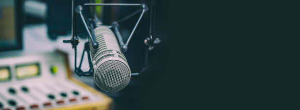 Professional microphone and sound mixer