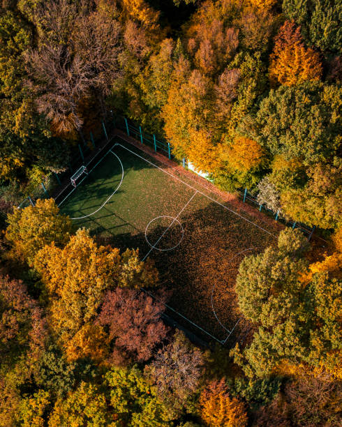 widok z góry na boisko do piłki nożnej w lesie jesienią, wysokie drzewa wokół stadionu - falling vertical green grass zdjęcia i obrazy z banku zdjęć