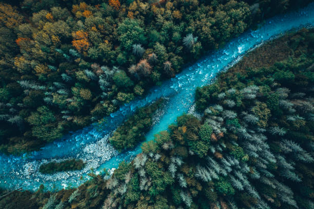 istock Drone aerial top view of montain river and forest 1402067151