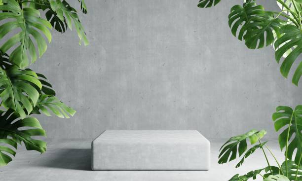 One rectangle podium in grey loft color background with Monstera plant foreground. Abstract wallpaper template element and architecture interior object concept.3D illustration rendering One rectangle podium in grey loft color background with Monstera plant foreground. Abstract wallpaper template element and architecture interior object concept.3D illustration rendering flowering plant stock pictures, royalty-free photos & images
