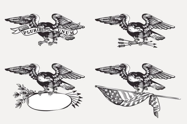 ilustrações, clipart, desenhos animados e ícones de águias vetoriais definidas com a bandeira, fita, armação e flechas. ilustração da história dos eua e celebração de 4 de julho em estilo de gravação. - coat of arms illustrations