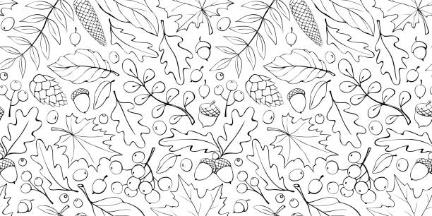 ilustrações de stock, clip art, desenhos animados e ícones de seamless pattern falling leaves, acorns, berries, cones. vector autumn texture isolated on white, hand drawn in doodle style, black outline. concept of forest, leaf fall, nature, thanksgiving - autumn leaf falling panoramic