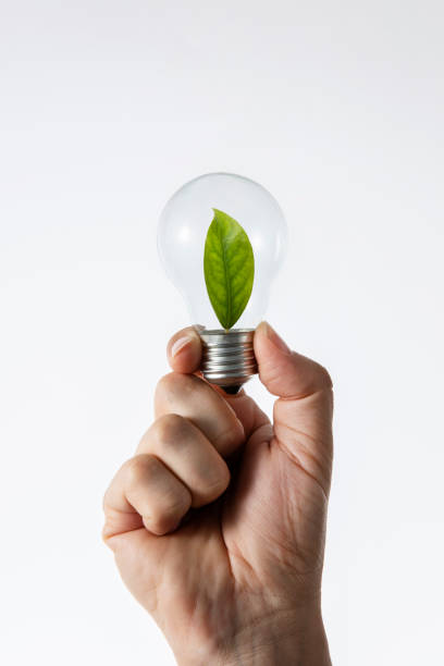 istock Hand Holding Light Bulb with Fresh Green Leaves Inside 1402075205