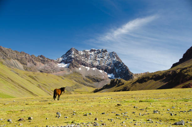 perù - lost horse valley foto e immagini stock