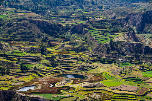 Peruvian landscapes are stunning and versatile, there are beaches, the andes, deserts and canyons
