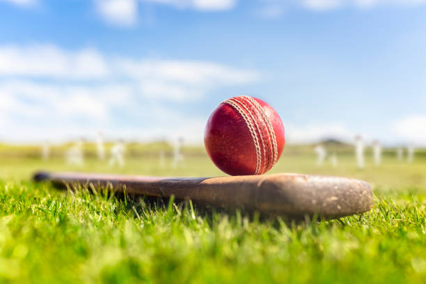 cricketball auf dem cricketschläger auf grünem gras des cricketplatzhintergrunds - traditionelle sportarten stock-fotos und bilder