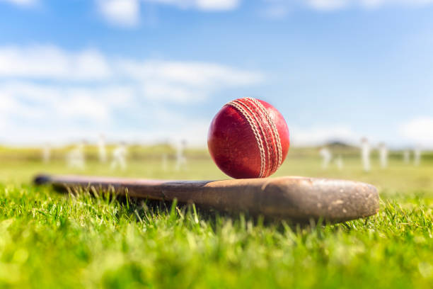 Cricket ball on top of cricket bat on green grass of cricket ground background stock photo