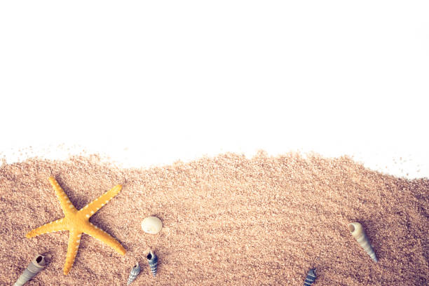 starfish, conches, shells on beach sand located at the bottom of the image stock photo