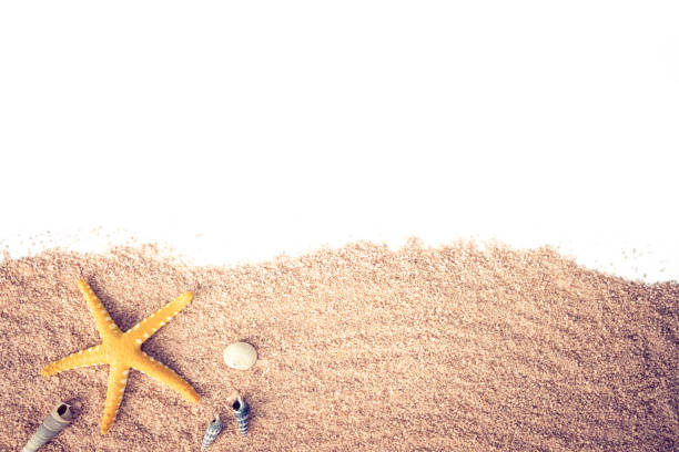 starfish, conches, shells on beach sand located at the bottom of the image stock photo