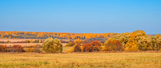 Beautiful colored autumn landscape stock photo